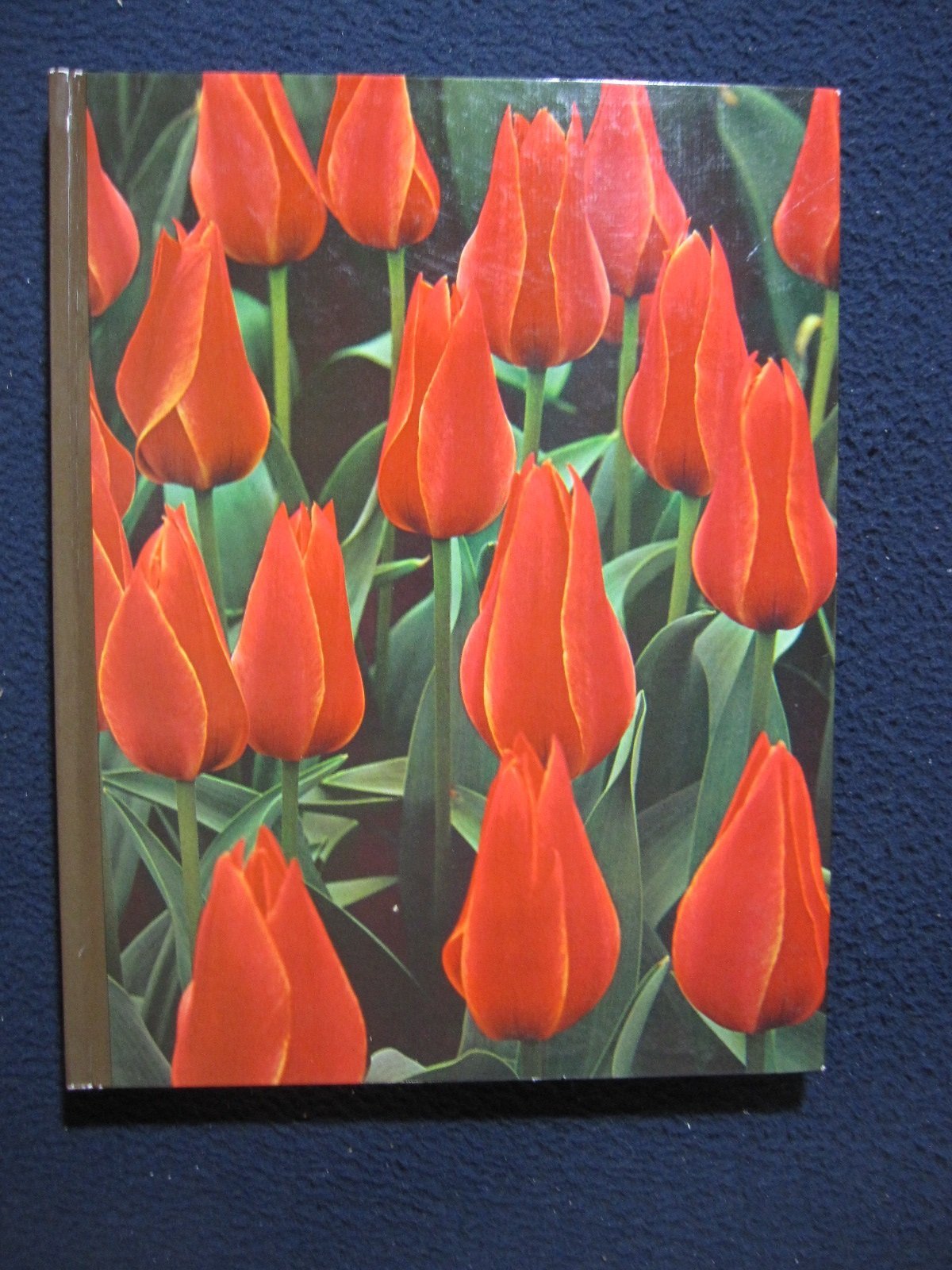 Bulbs - The Time-life Encyclopedia Of Gardening