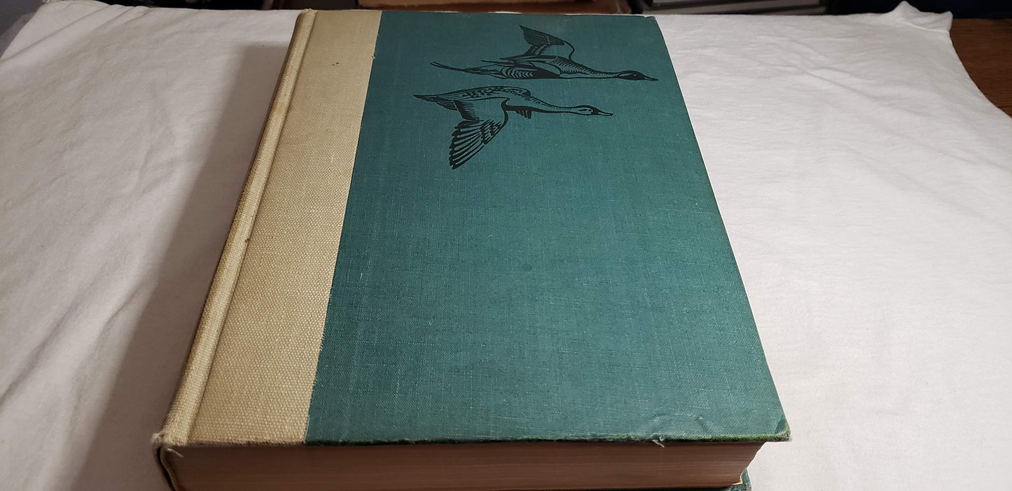 BIRDS Of AMERICA.