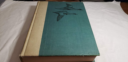 BIRDS Of AMERICA.