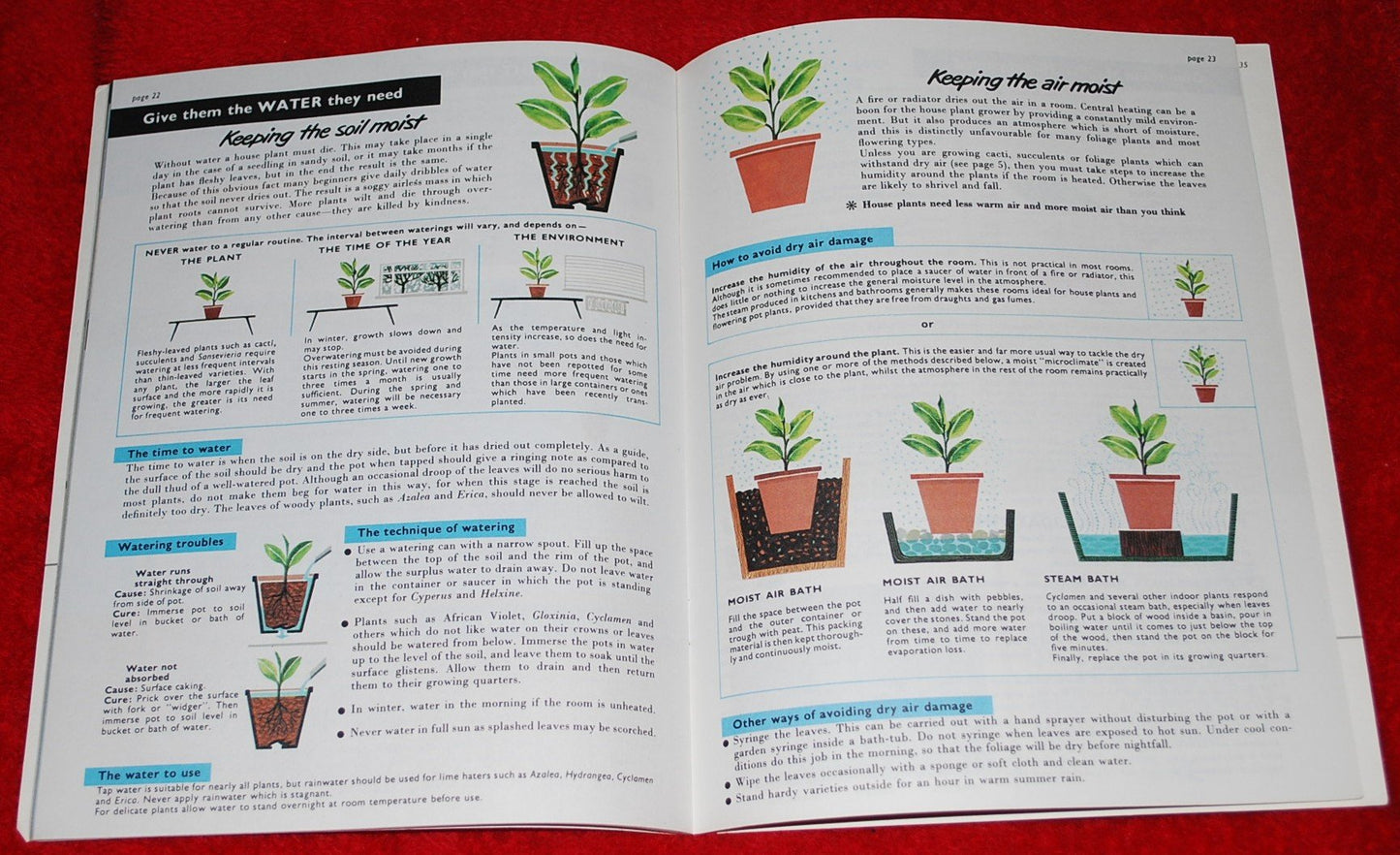 Be Your Own House Plant Expert