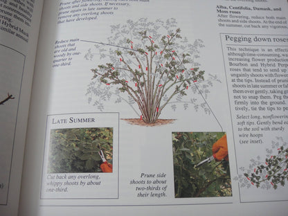 American Horticultural Society Encyclopedia of Gardening