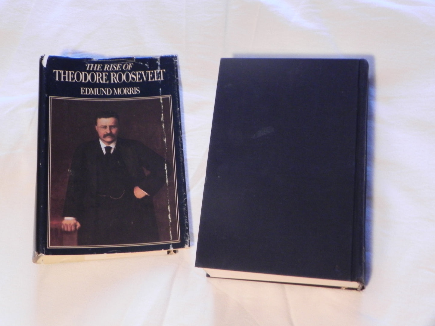 The Rise of Theodore Roosevelt