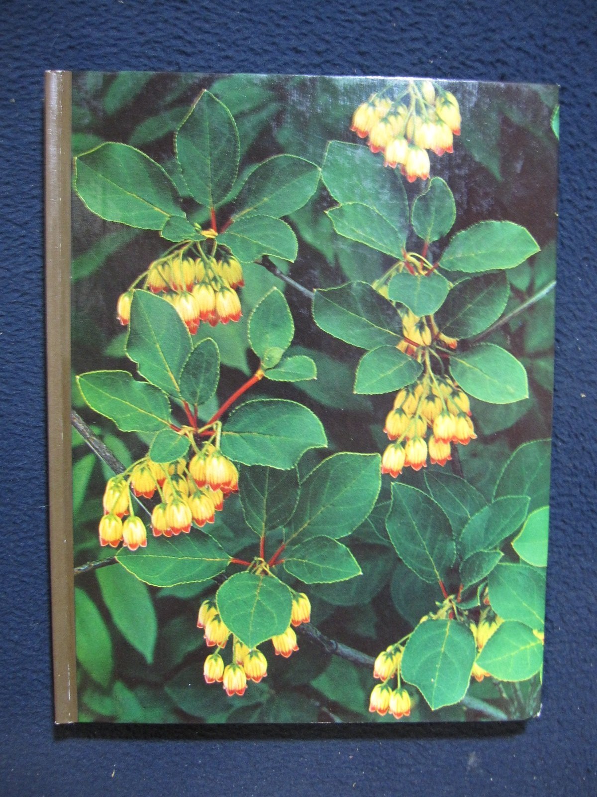 Time Life Encyclopedia of Gardening: Flowering Shrubs