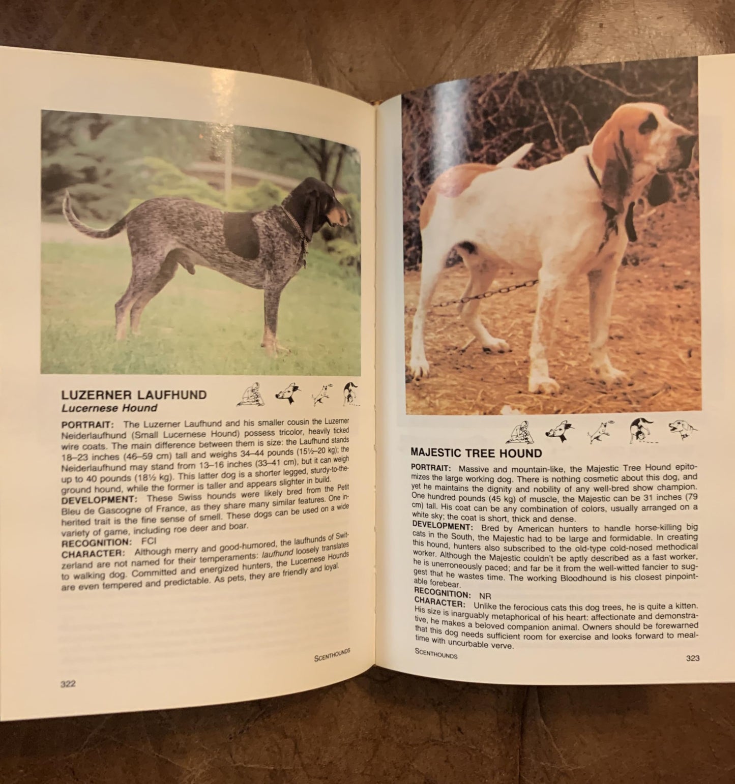 The Mini-Atlas of Dog Breeds