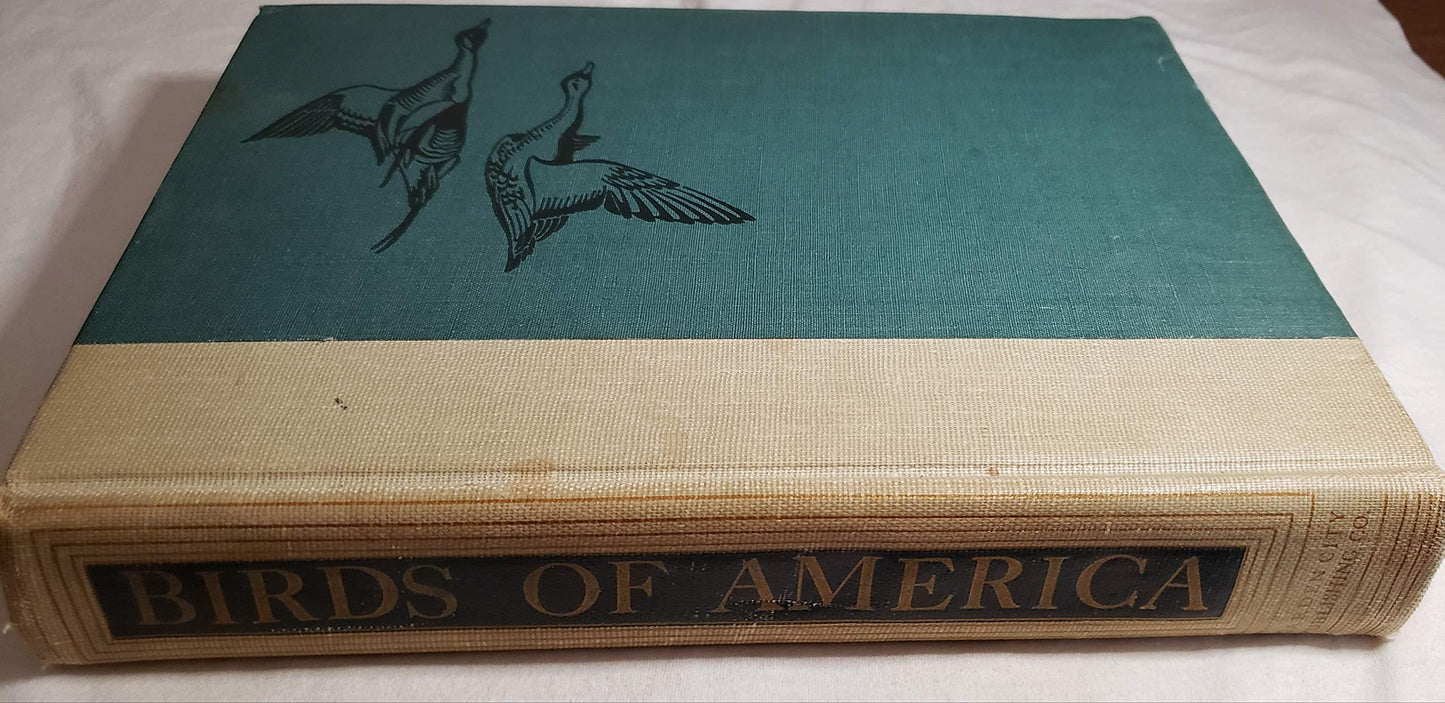 BIRDS Of AMERICA.