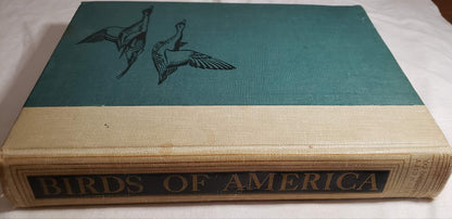 BIRDS Of AMERICA.