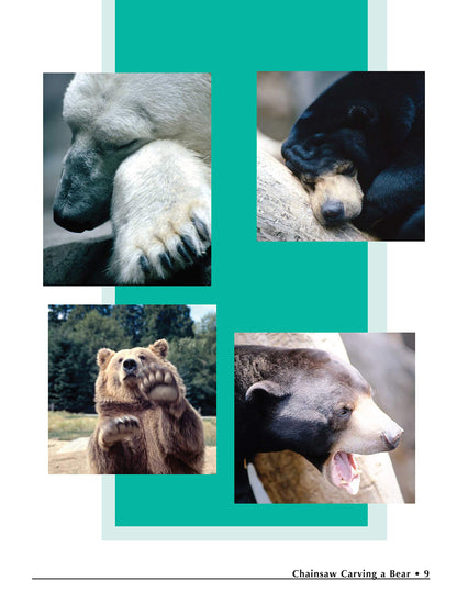 Chainsaw Carving a Bear: A Complete Step-By-Step Guide (Fox Chapel Publishing) Beginner-Friendly Details and Easy-to-Follow Illustrated Instructions for How to Carve Realistic and Caricature Bears