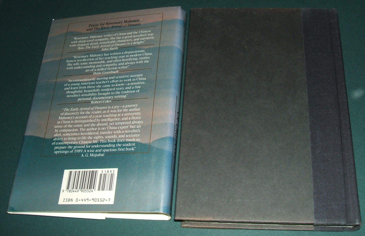 The Early Arrival of Dreams: A Year In China