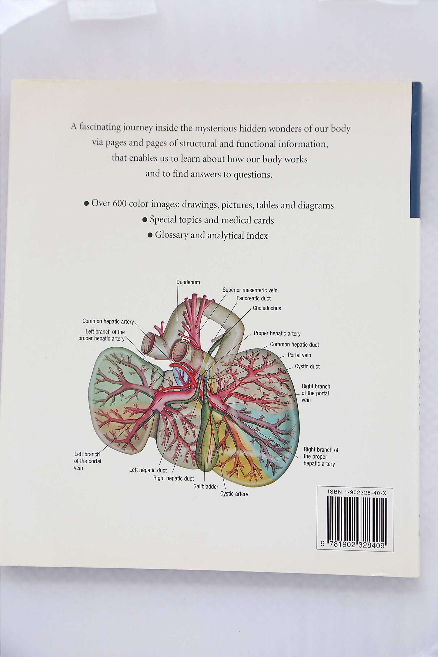 Atlas of Anatomy
