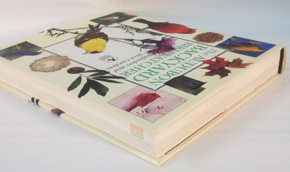 The Audubon Backyard Birdwatcher: Birdfeeders and Bird Gardens