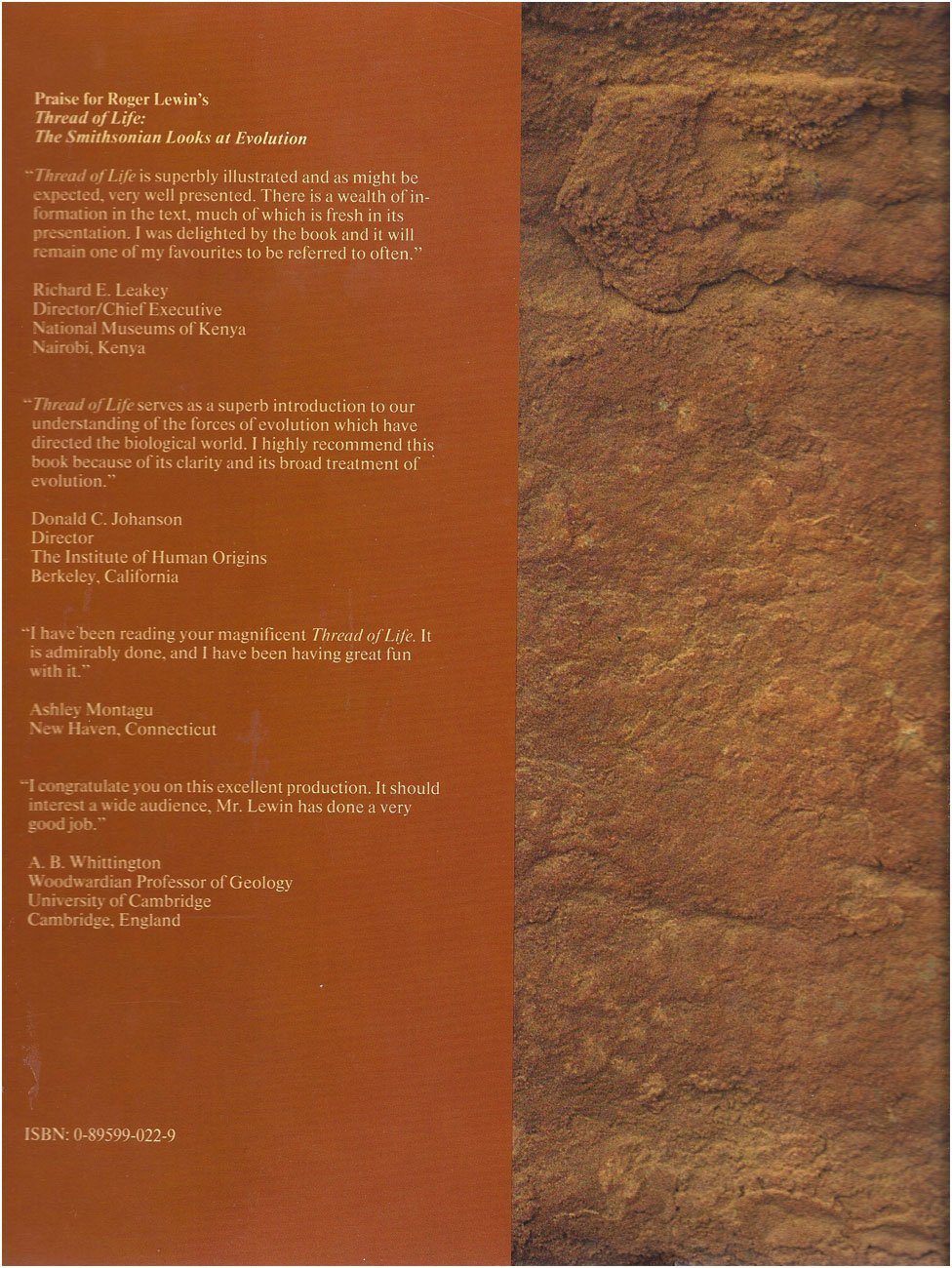 IN THE AGE OF MANKIND