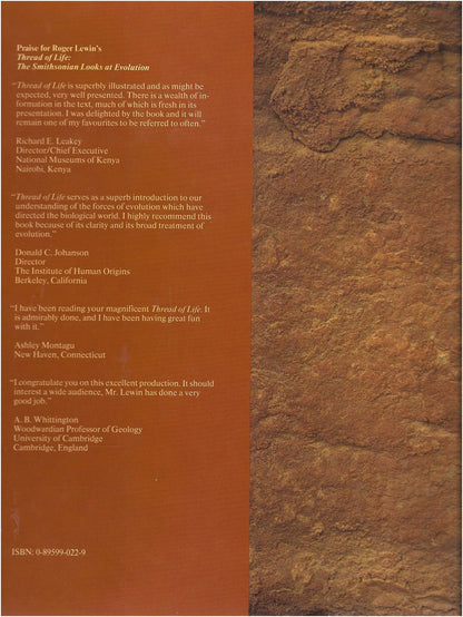 IN THE AGE OF MANKIND