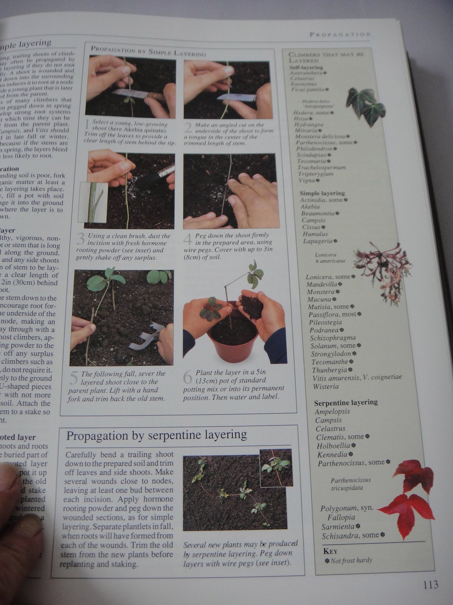 American Horticultural Society Encyclopedia of Gardening
