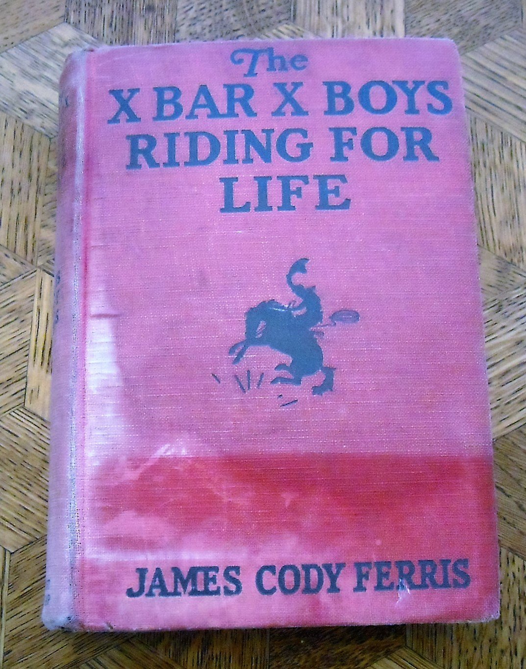 The X Bar X Boys Riding For Life ( XBarX boys Series, #10)