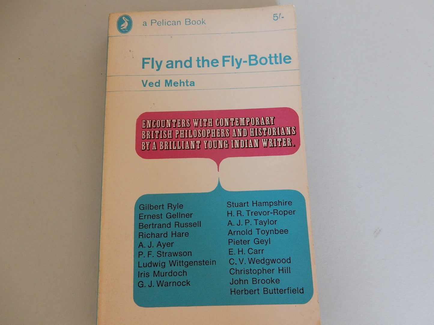FLY AND THE FLY-BOTTLE: Encounters with Contemporary British Philosophers and Historians