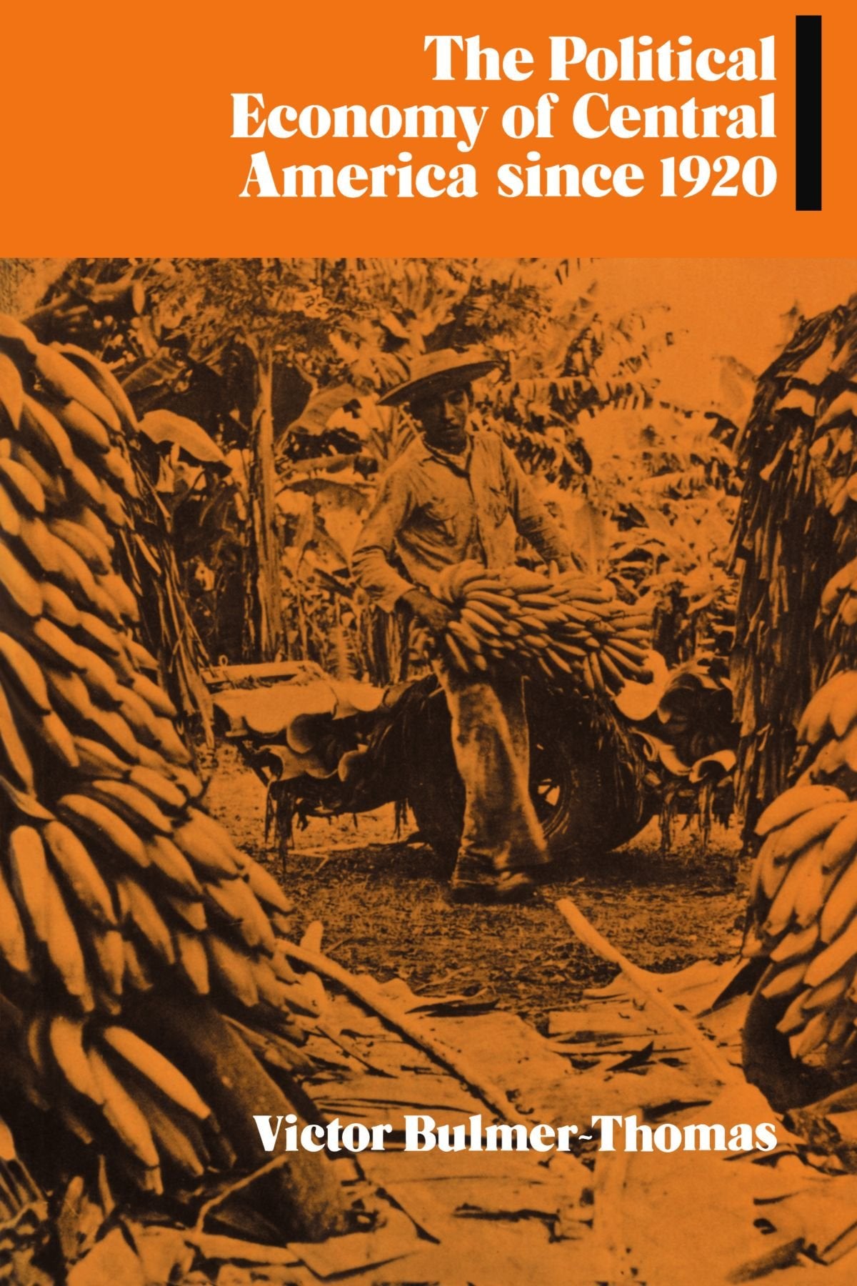 The Political Economy of Central America since 1920 (Cambridge Latin American Studies, Series Number 63)