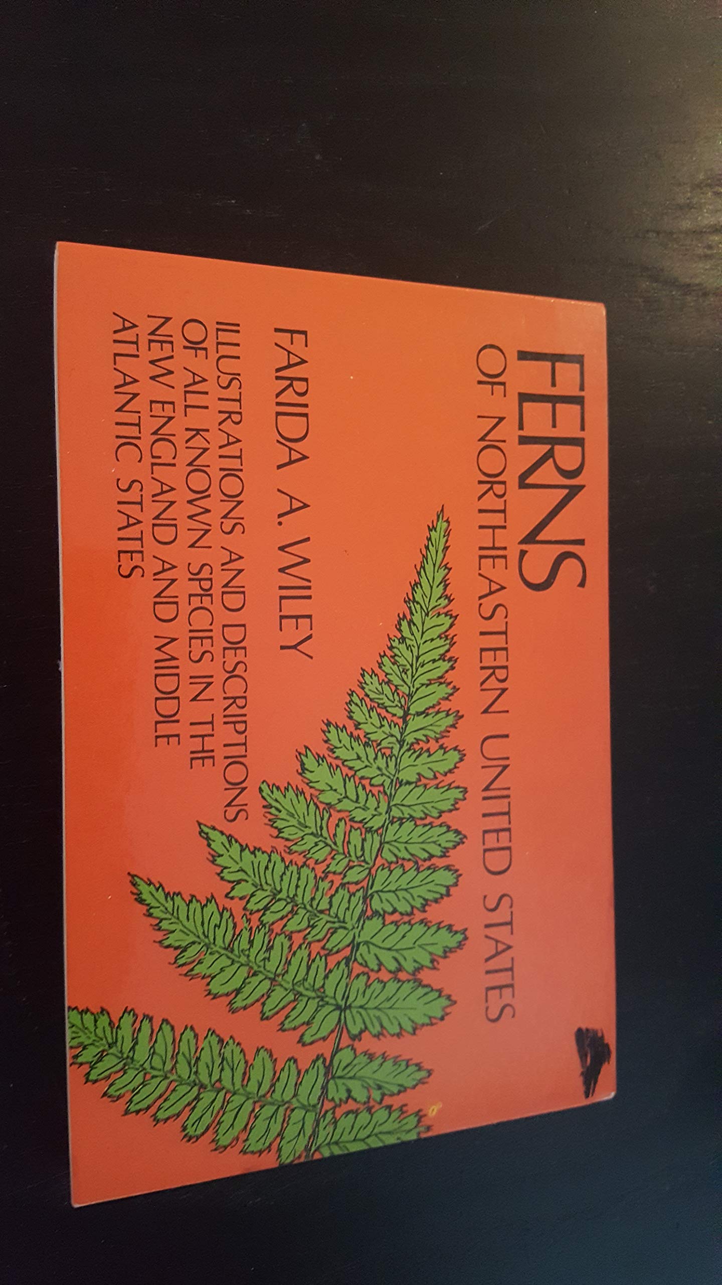 Ferns of Northeastern United States: Illustrations and Descriptions of All Known Species in the New England and Middle Atlantic States,