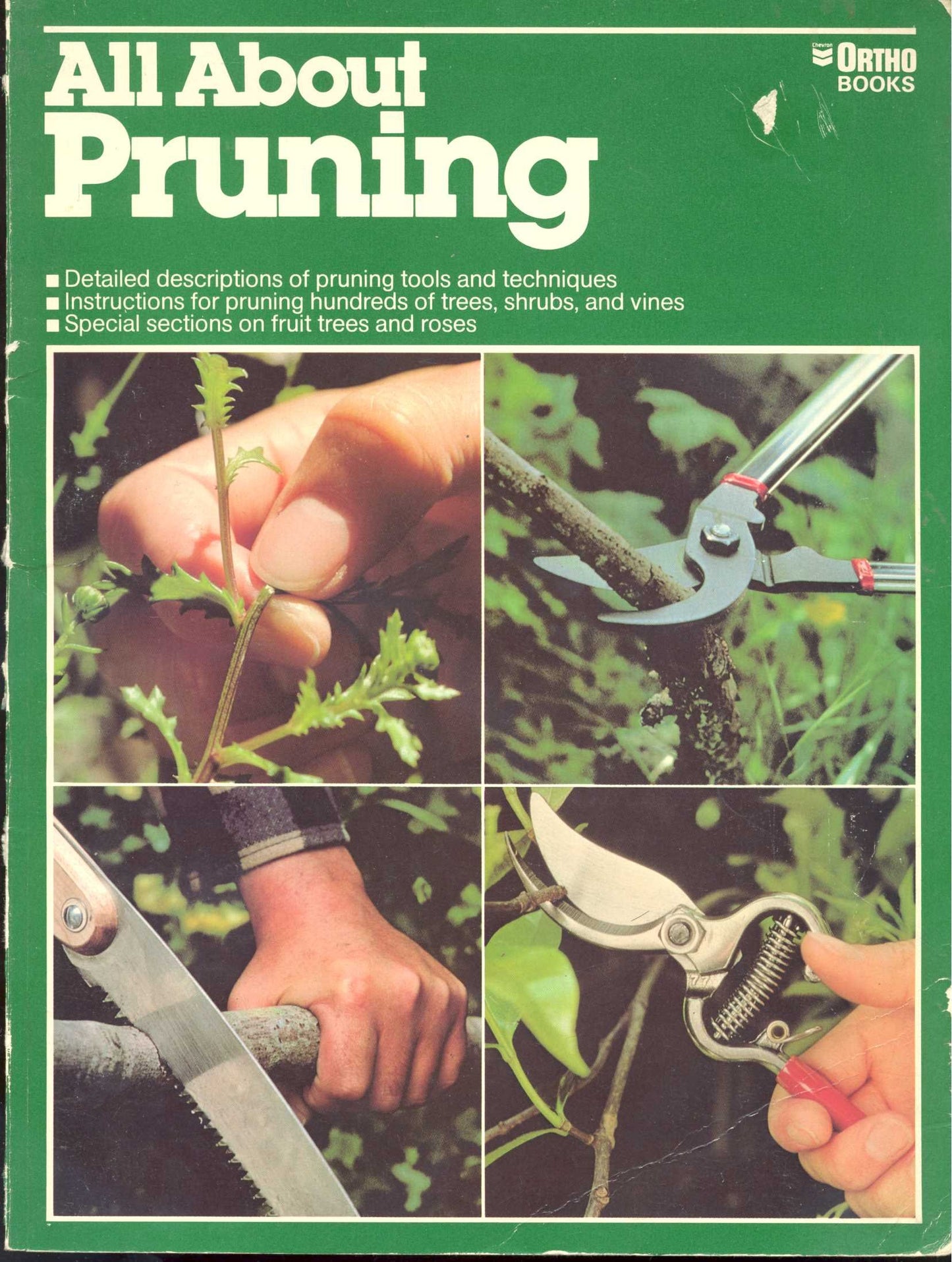All About Pruning