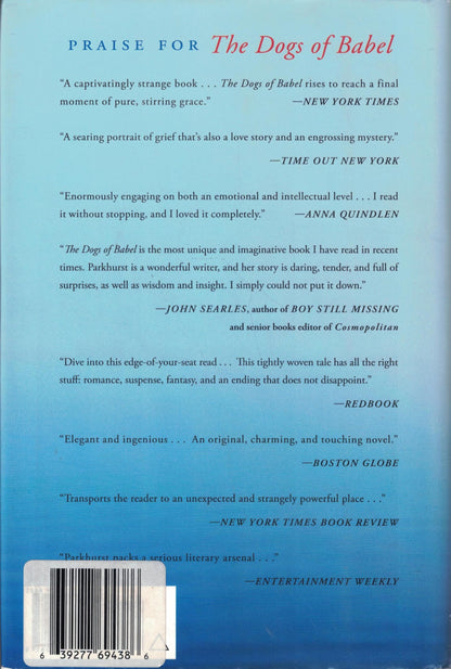 The Nobodies Album: A Novel