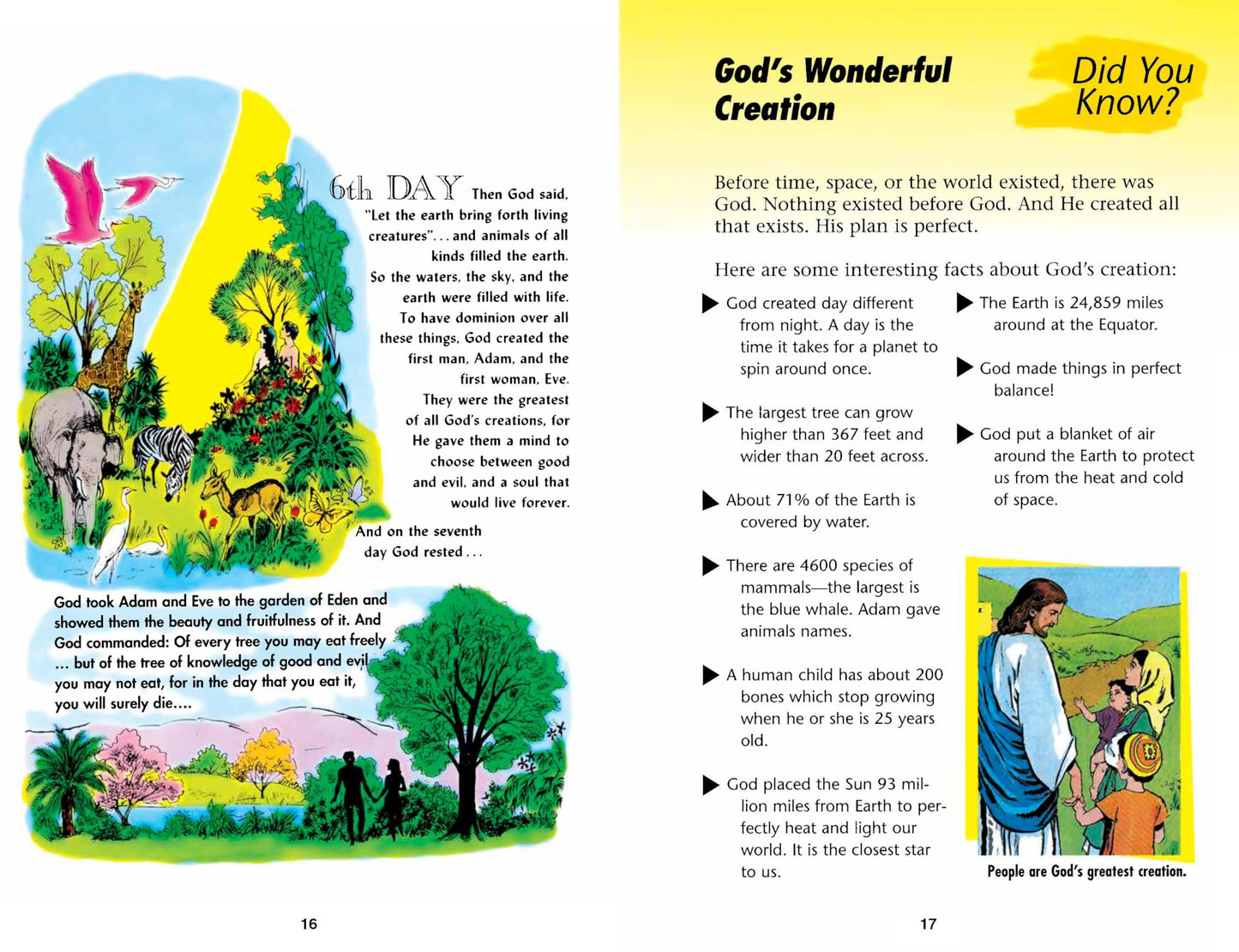 The Picture Bible