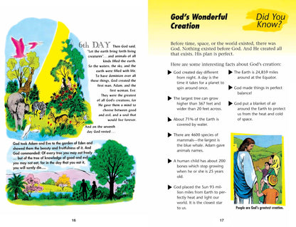 The Picture Bible