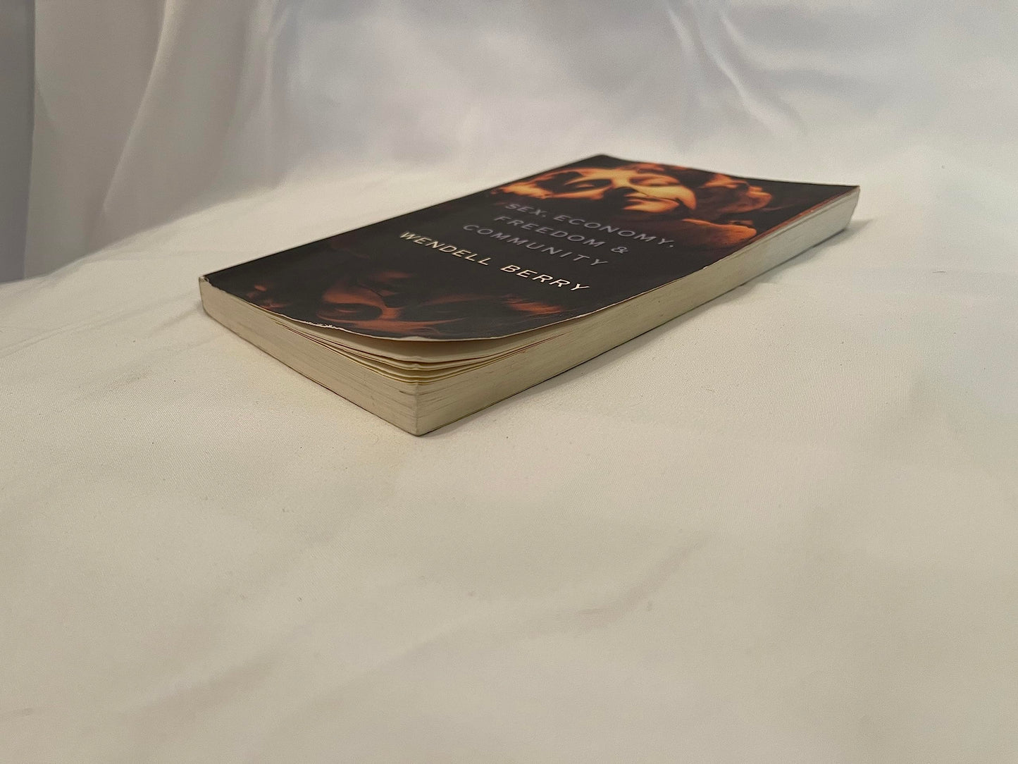 Sex, Economy, Freedom & Community: Eight Essays