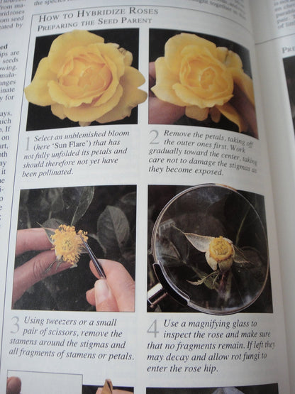 American Horticultural Society Encyclopedia of Gardening