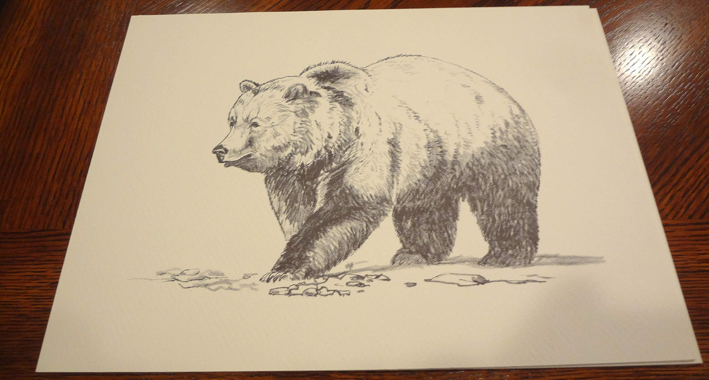 Wildlife of the Rockies (Art Prints)