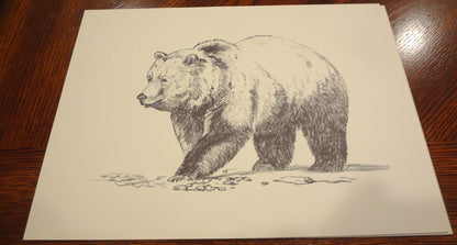 Wildlife of the Rockies (Art Prints)