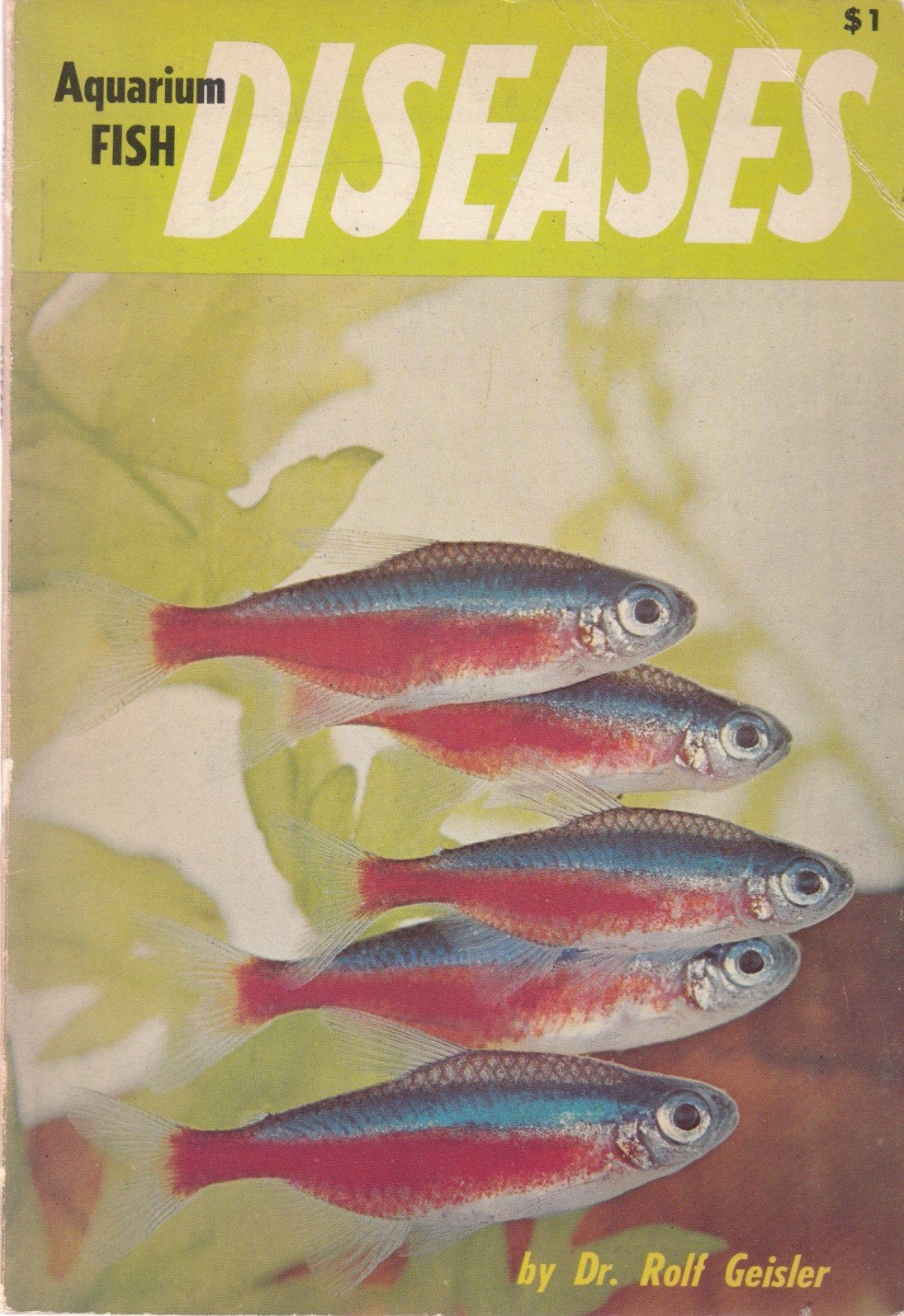 Aquarium Fish Diseases