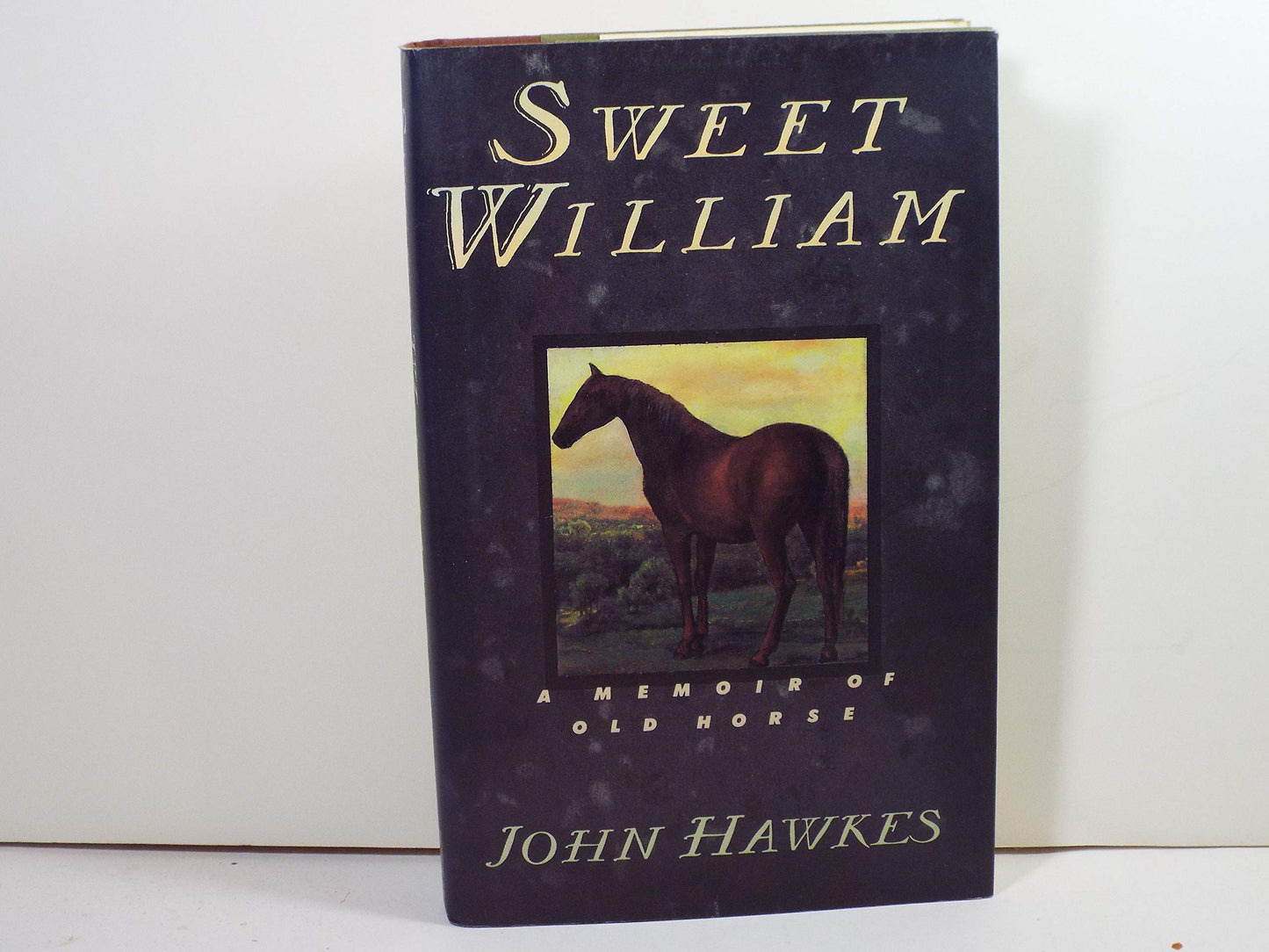 Sweet William: A Memoir of Old Horse
