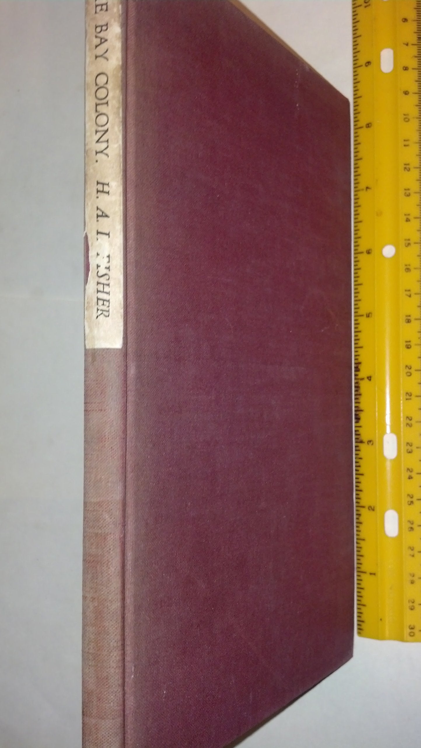 The Bay Colony. A Tercentenary Address.