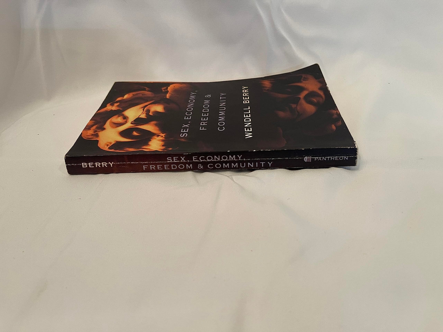 Sex, Economy, Freedom & Community: Eight Essays