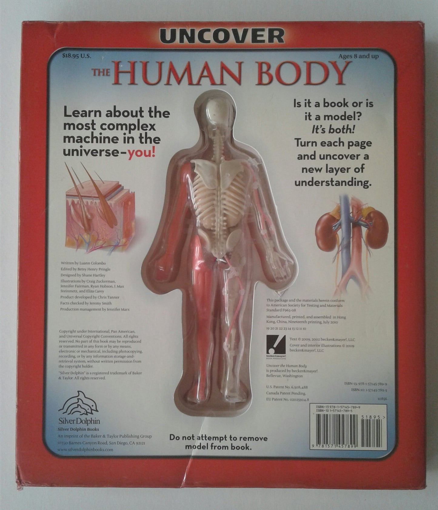 Uncover the Human Body: An Uncover It Book