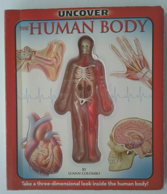 Uncover the Human Body: An Uncover It Book