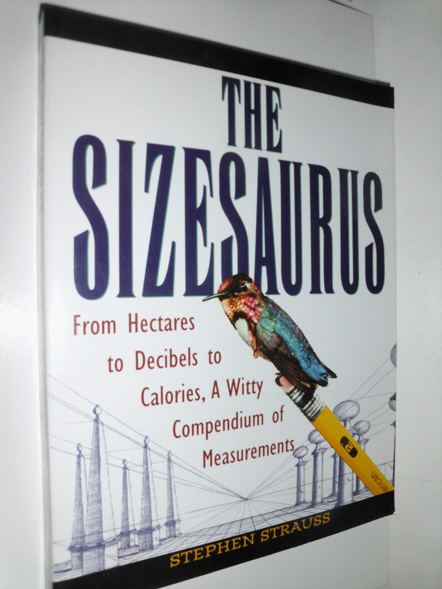 Sizesaurus: From Hectares to Decibels to Calories, a Witty Compendium of Measurements