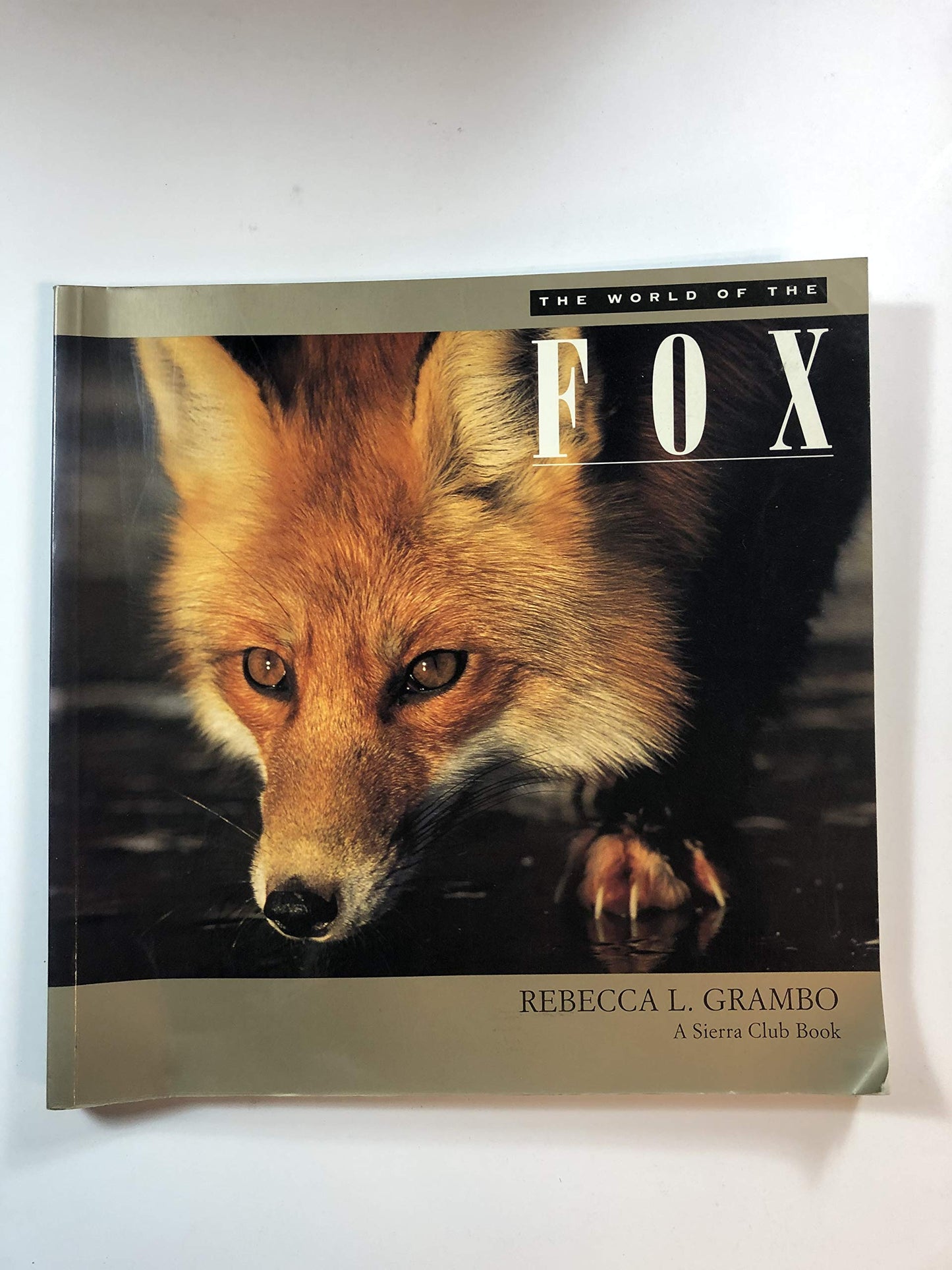 The World of the Fox