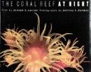 Coral Reef at Night