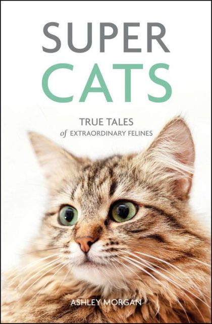 Super Cats - True Tales of Extraordinary Felines