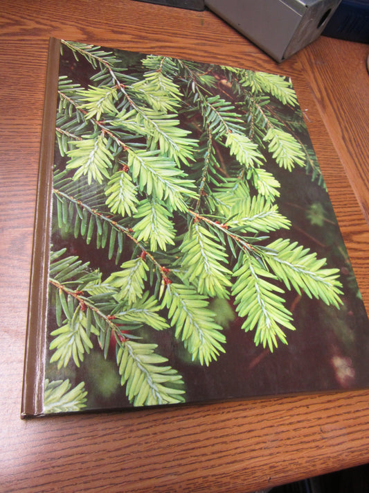 Evergreens, (The Time-Life encyclopedia of gardening)