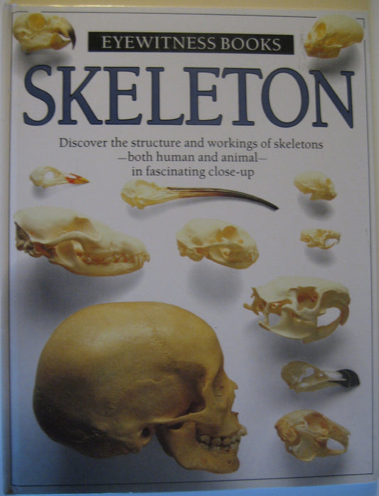 Skeleton