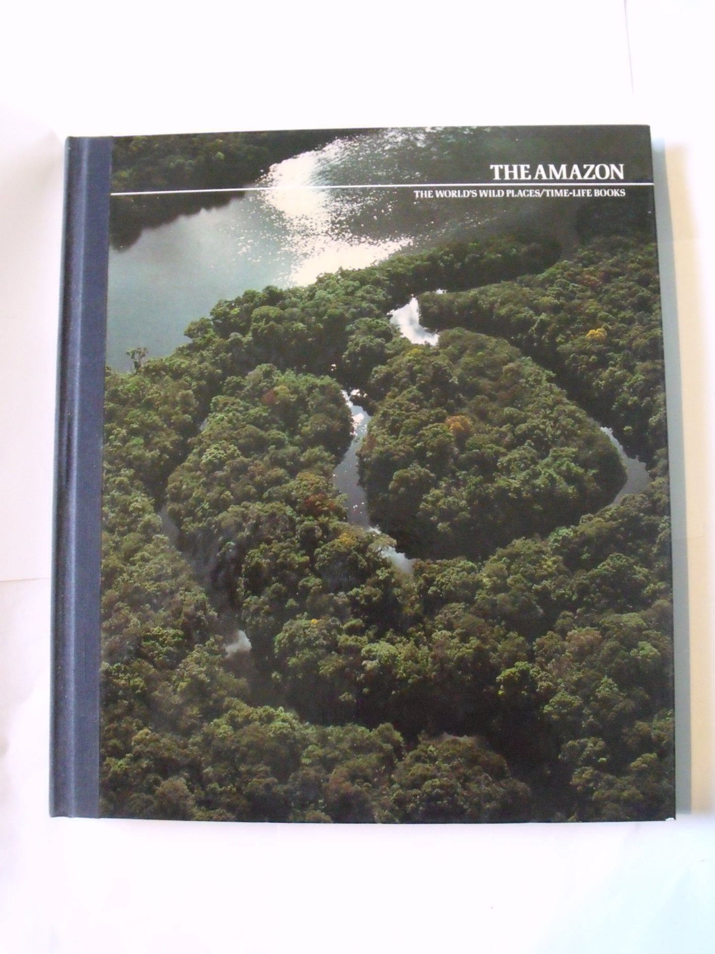 The Amazon (The World's wild places)