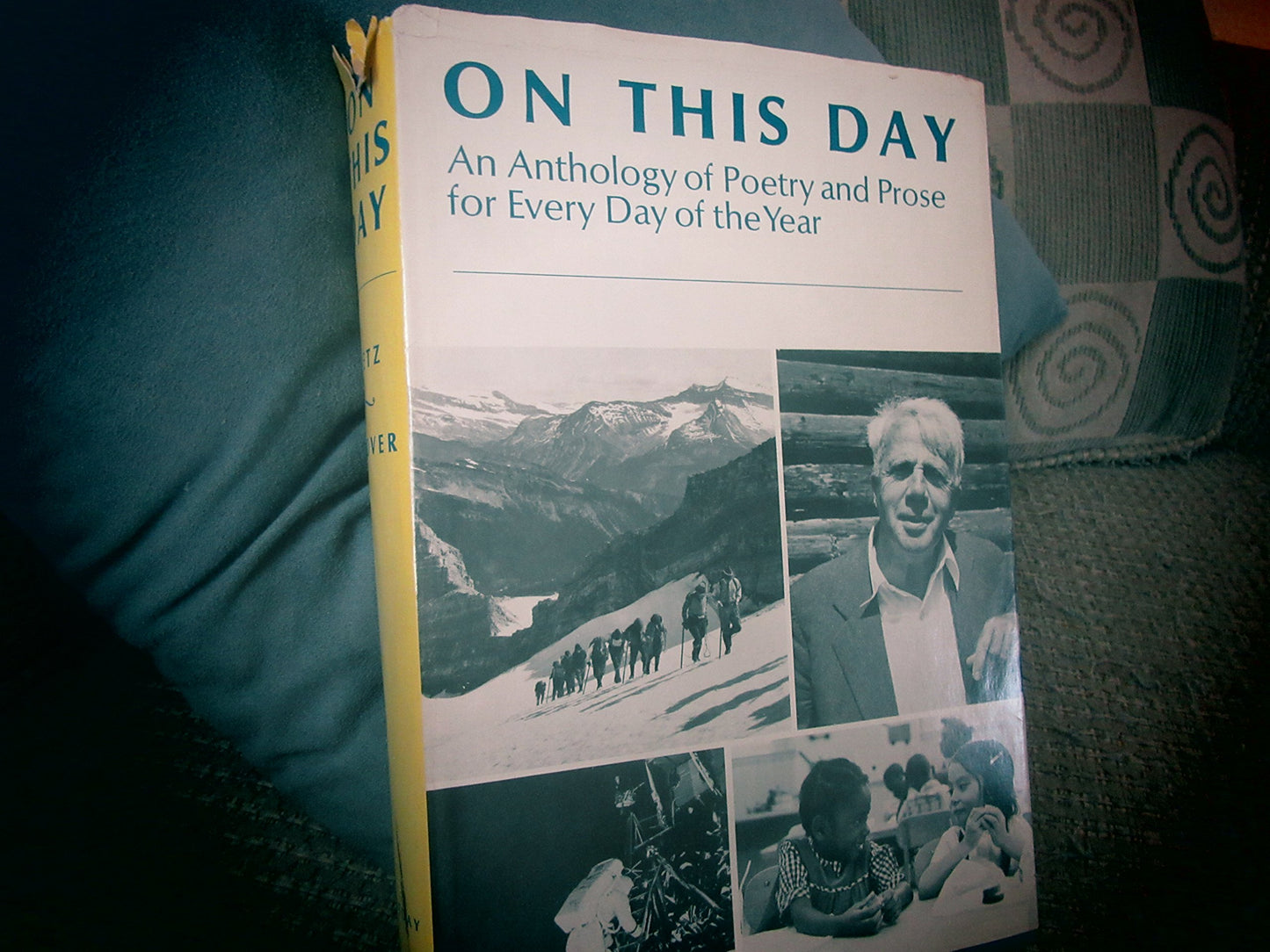 c8d360b2-280e-4e73-8721-7f77c3248a1e