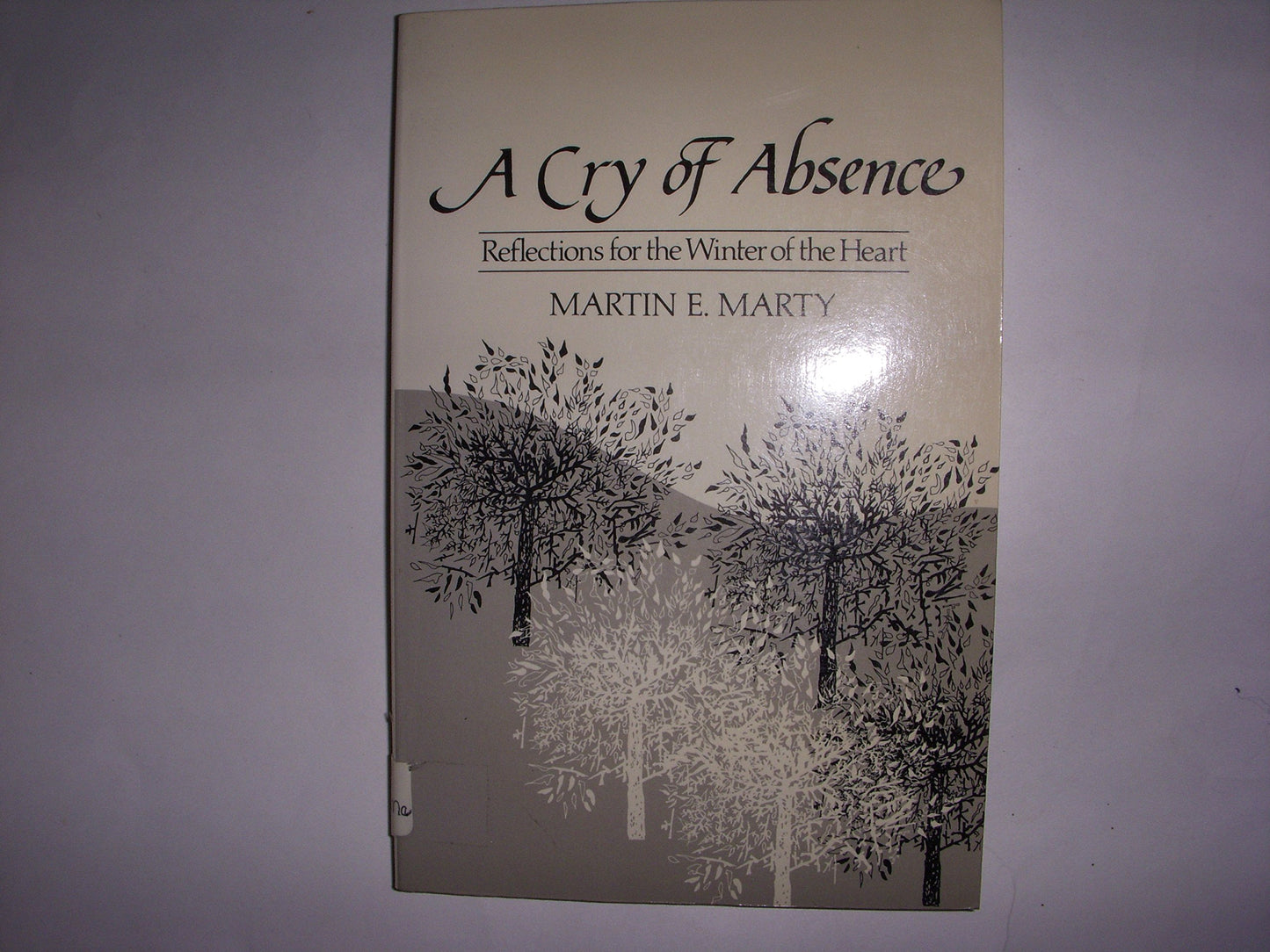 A Cry of Absence, Reflections For the Winter of the Heart
