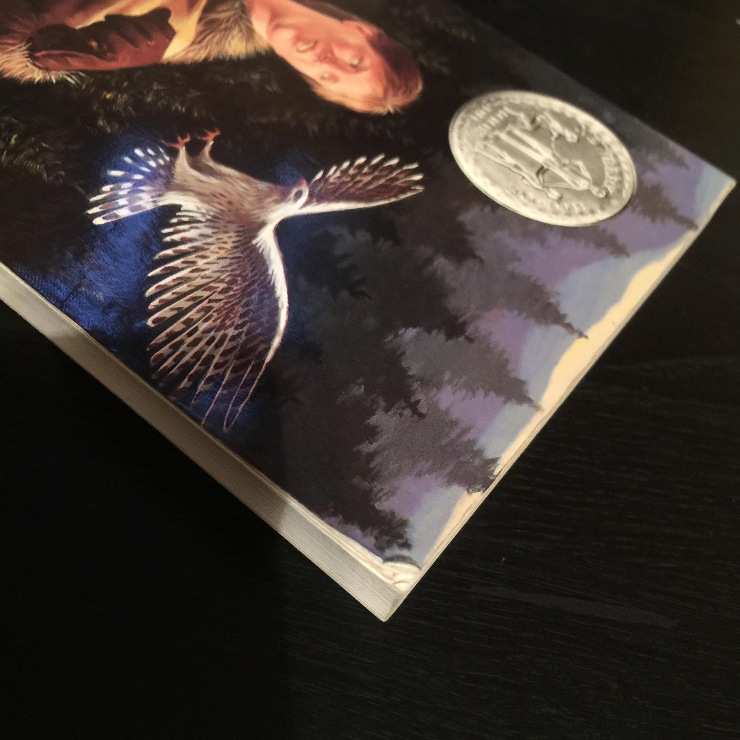 My Side of the Mountain