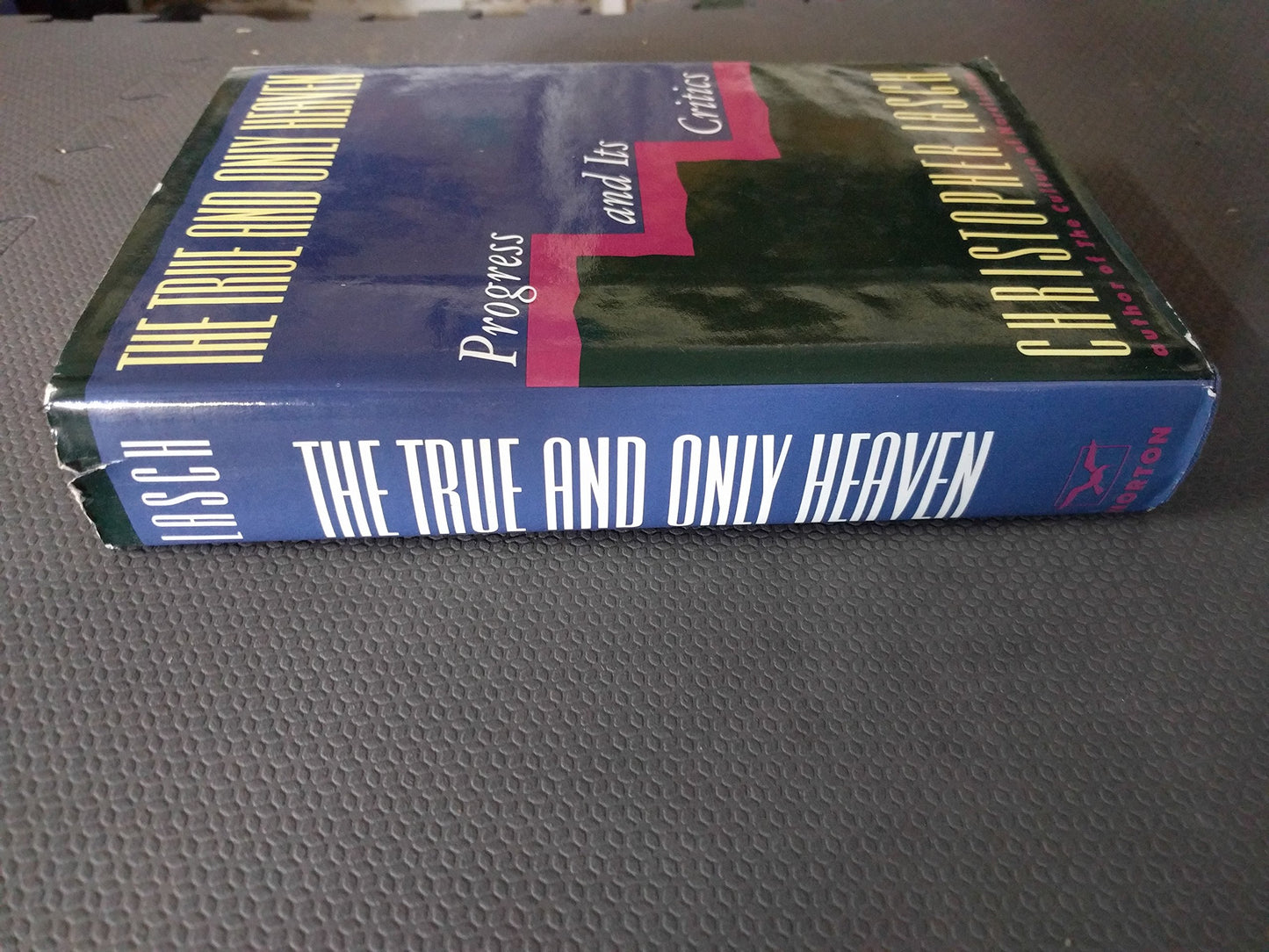 The True and Only Heaven: Progress and Its Critics