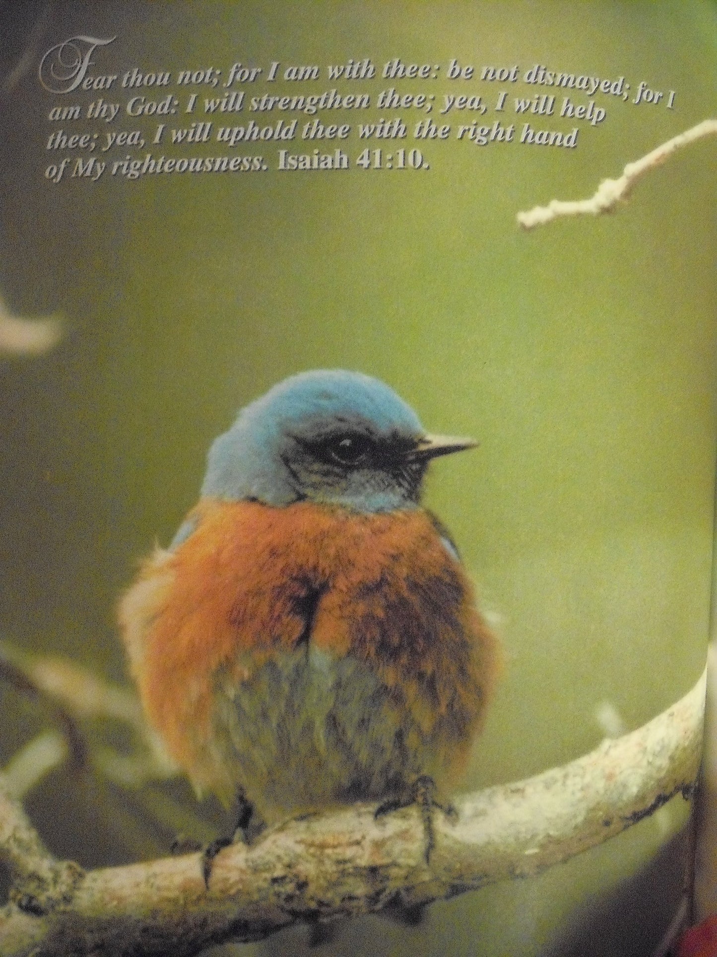 Peace Above the Storm