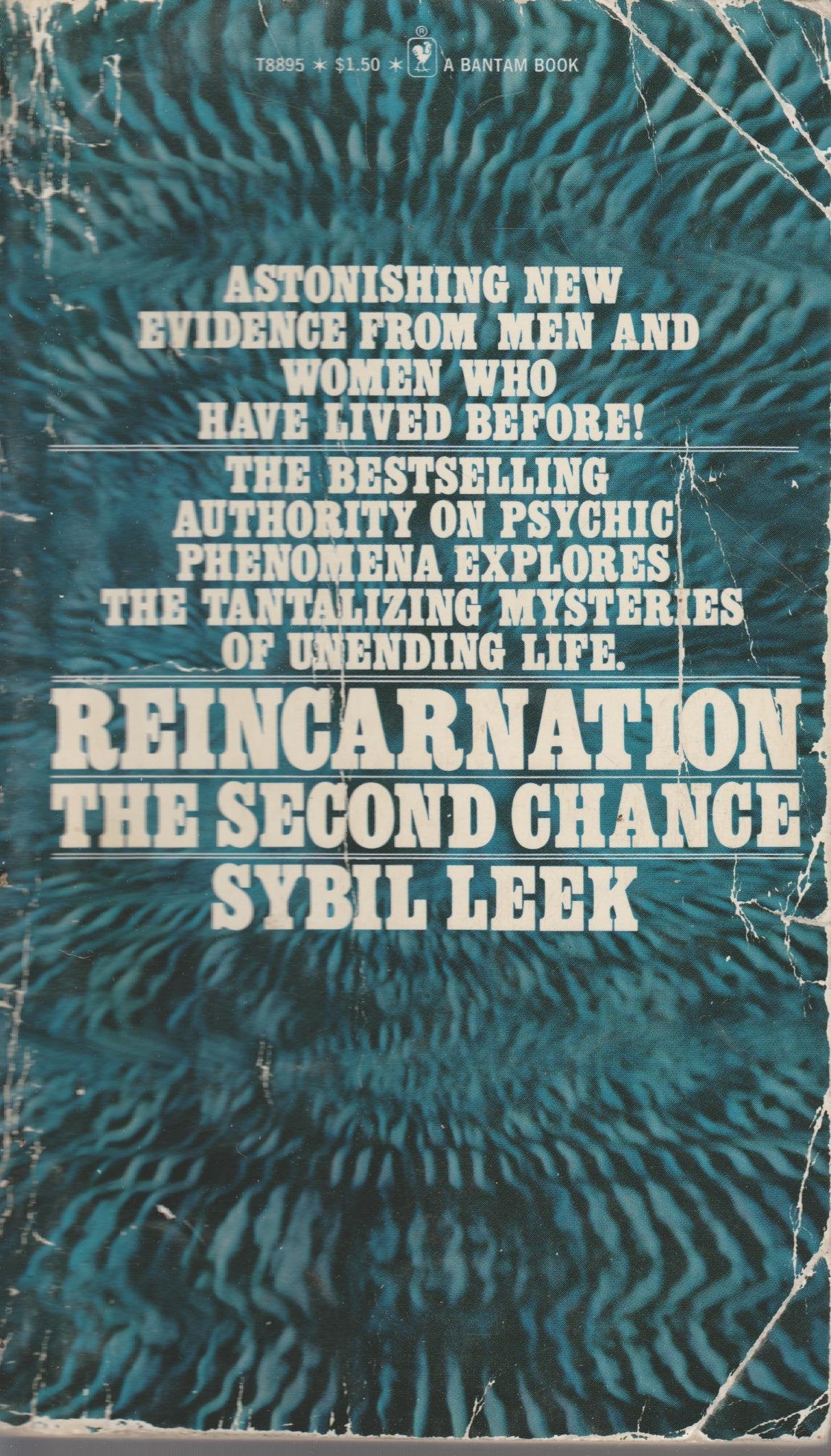 Reincarnation the Second Chance