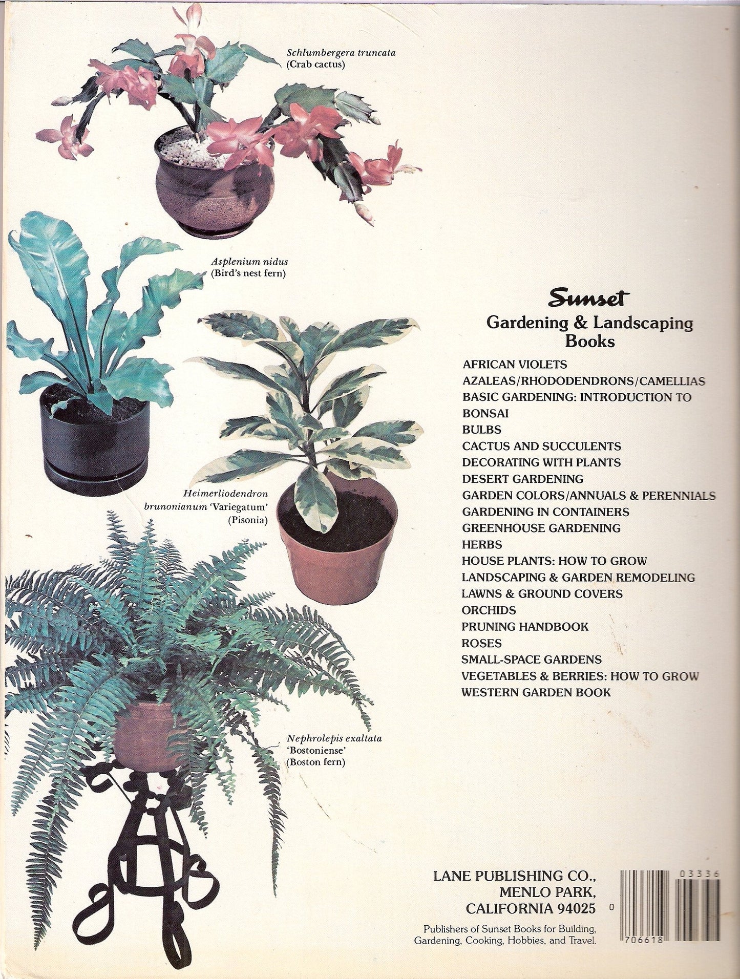 How to Grow House Plants (A Sunset Book)