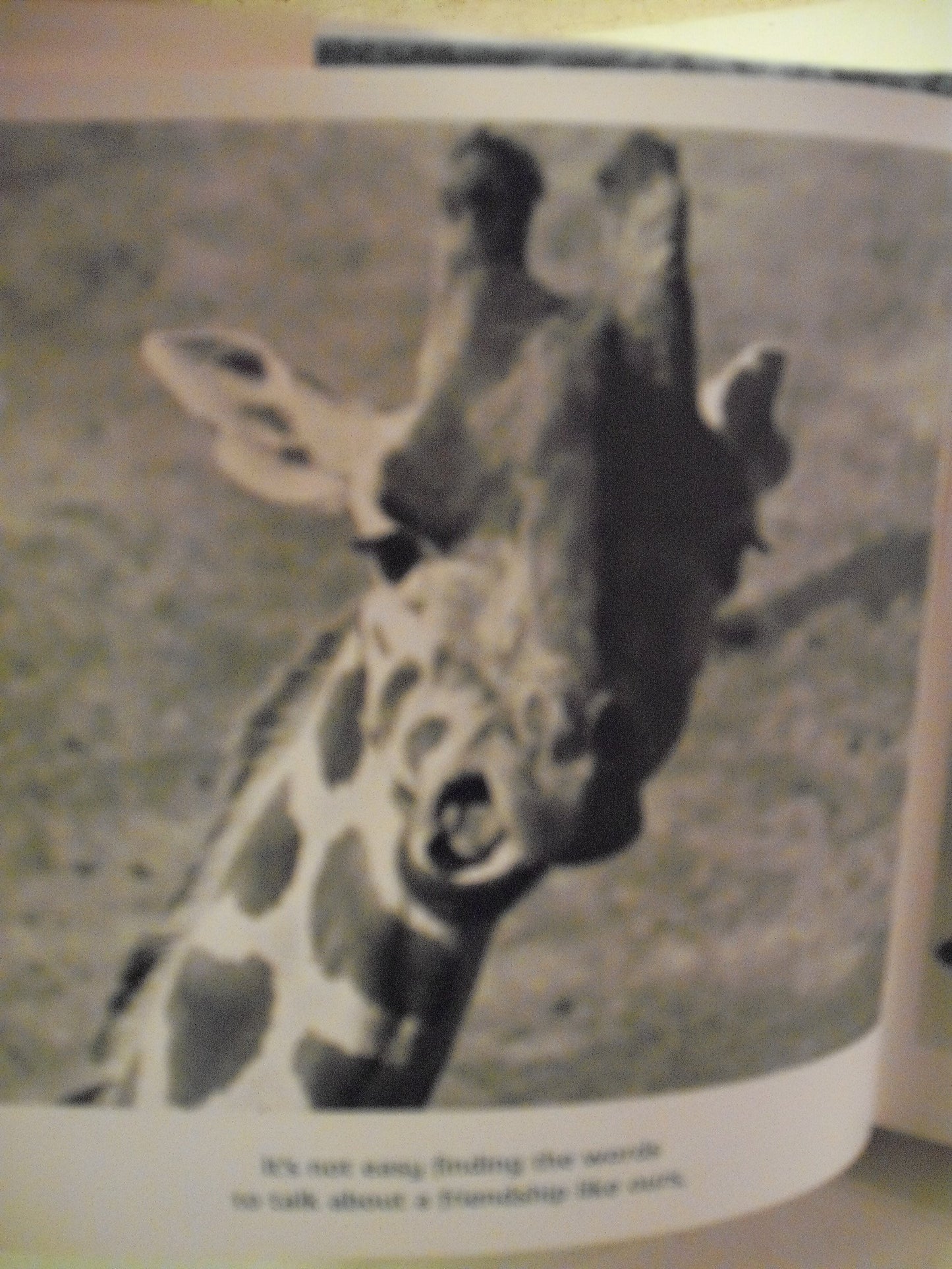 Friends to the End: The True Value of Friendship